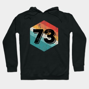 Vintage 1973 Retro Legendary, Birthday Hoodie